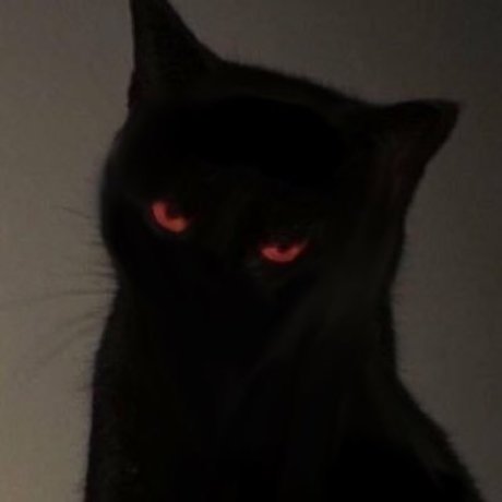 kathy ポルノスター 高品質 写真