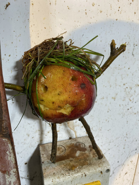 Rich Rowe 高品質モデル 画像