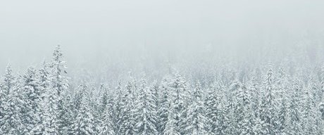 Anton Cash ヌード女優 画像