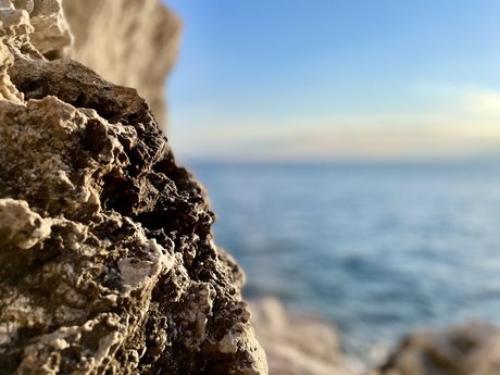 Remy Lecornec かわいいスター 写真