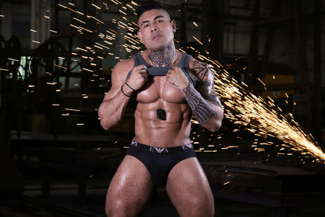 _TOP 0 37_ スター ヌード 画像