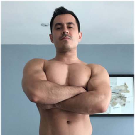 rodopod 裸のポルノスター ギャラリー