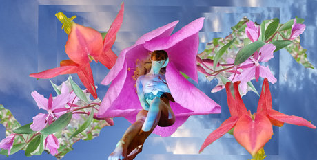 Sasha Roan 美しいスター 画像