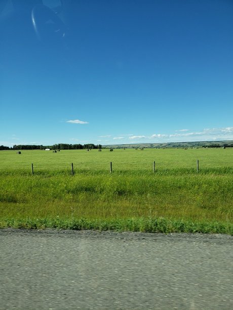 runnerphilv ヌード女優 写真