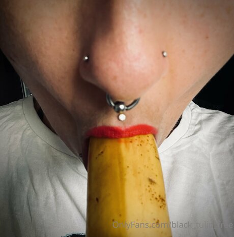 rubber tulip ヌードモデル アーカイブ