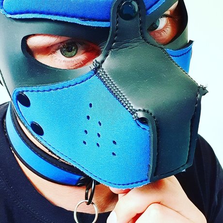 Sunshine live Edition 完璧なスター 写真