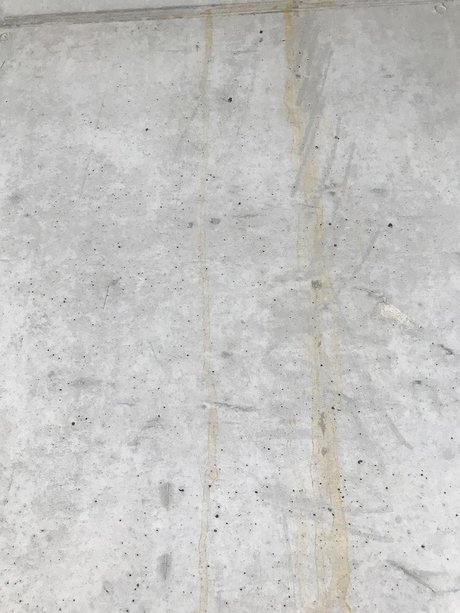 Rauli ポルノスター 高品質 画像