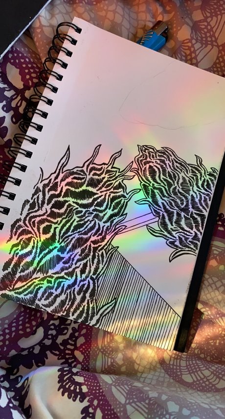 Rosie Cheeks アートスター ギャラリー