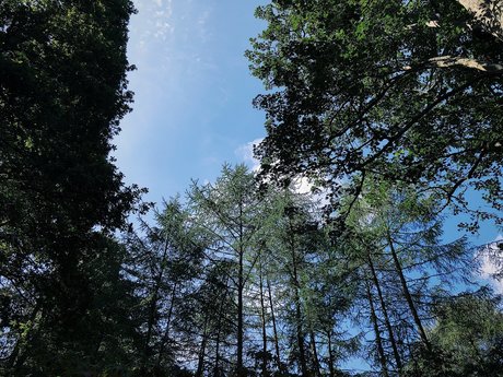 Samara_ ヌードのポルノスター 画像