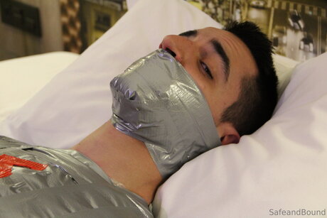 大きな黒い猫OnlyFans ポルノ 画像