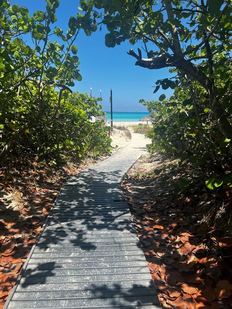 Ryan Barker 最高のモデル ギャラリー