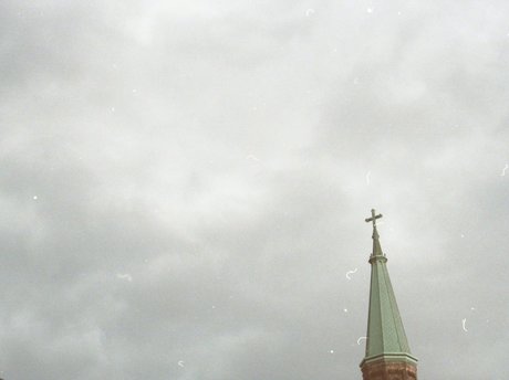 Sea Star セックスモデル 画像