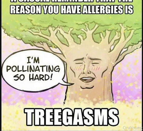 ブルネットの看護師OnlyFans ヌード アーカイブ