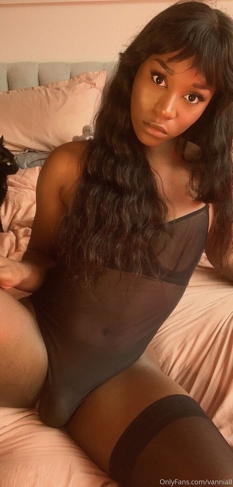 Vanniall XXXモデル 写真