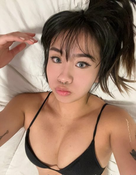 freekittynobi トップスター 画像