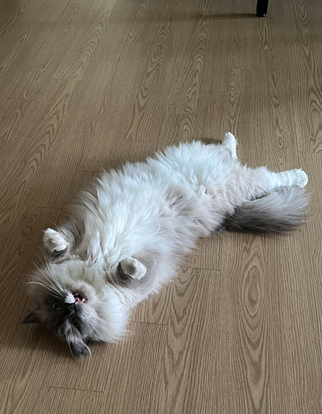 小柄なブロンドの熟女OnlyFans ヌード 画像