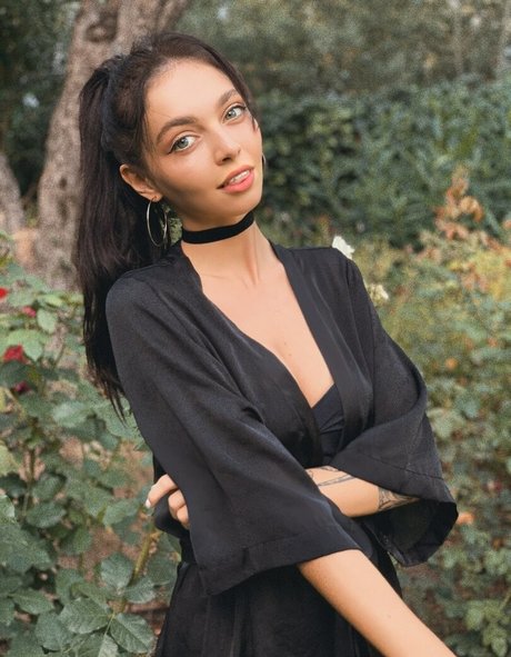 by owl HDモデル 画像