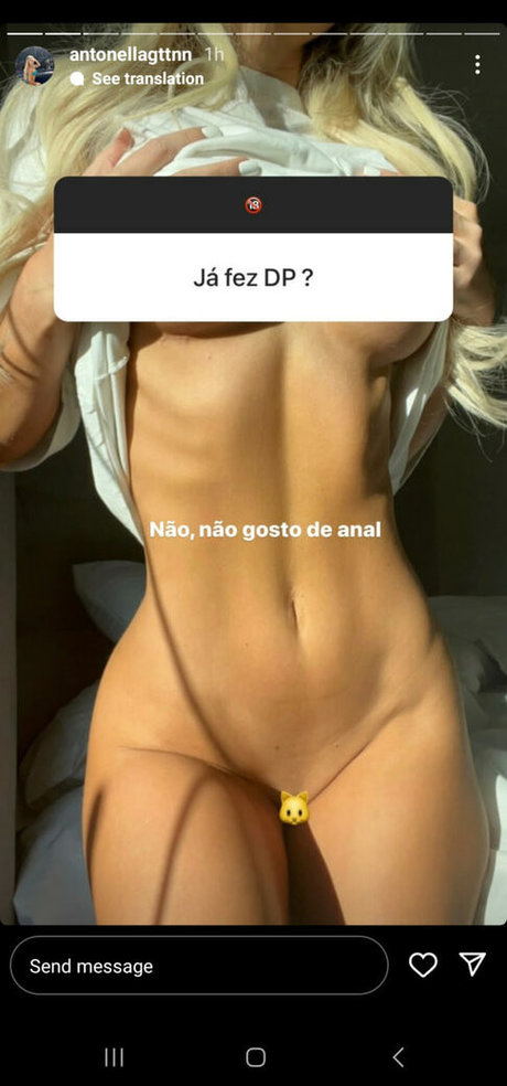 Antonella Gattini アートスター 画像