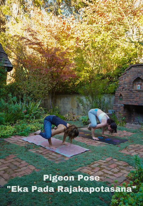 大きな黒い猫OnlyFans 無料xxx 写真