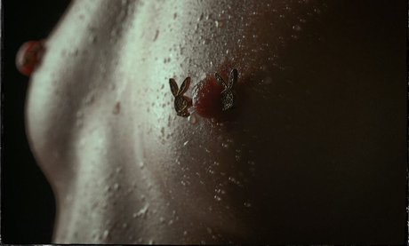 大きな黒いチンポ OnlyFans 美しいヌード 写真