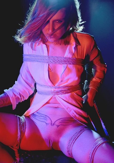 Shojo HDモデル 写真