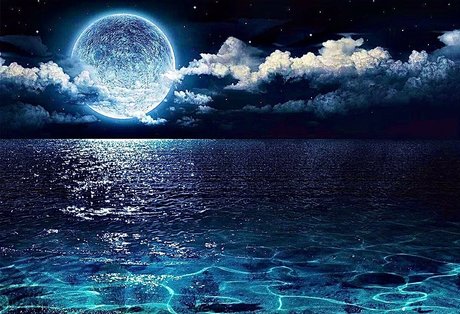 Goddess Sarina Siren 独占モデル 写真