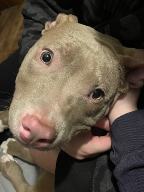 アジアのティーンオンリーファン ヌード ギャラリー