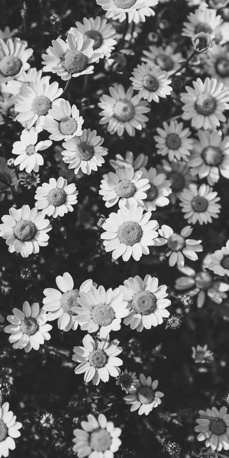 Sam Noskow ポルノスター セクシー 写真