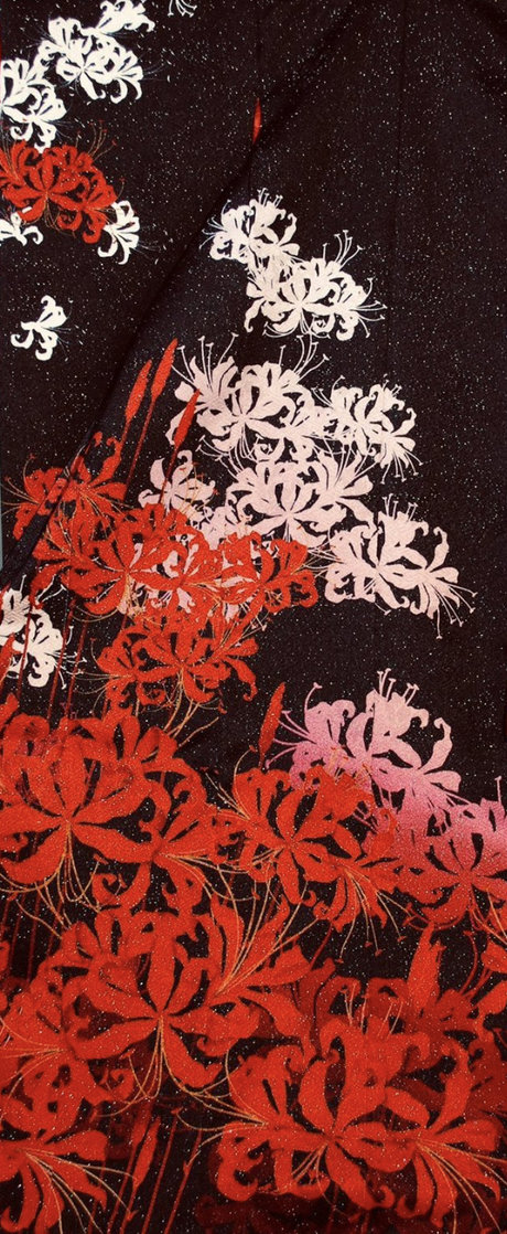 Saiyahime ホットモデル 写真