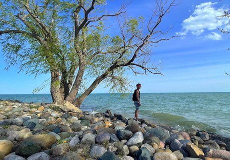 BoyToy R アートスター 写真