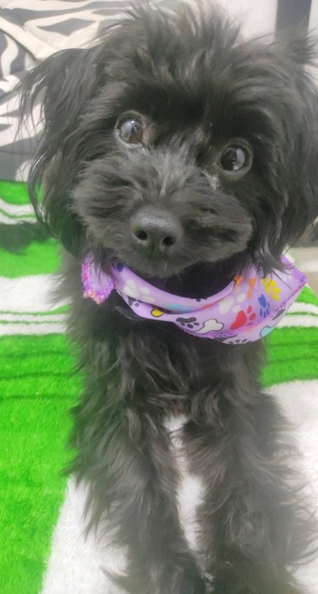 Scarlett hansen 素敵なモデル ギャラリー