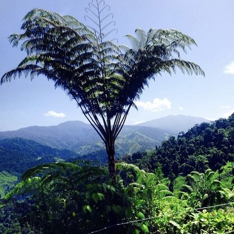 savibaby ヌードモデル ギャラリー