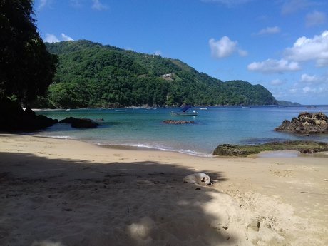 美しいアジアのOnlyFans ホット裸 画像