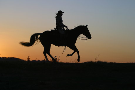 Nicolas Nardini ヌードモデル 写真