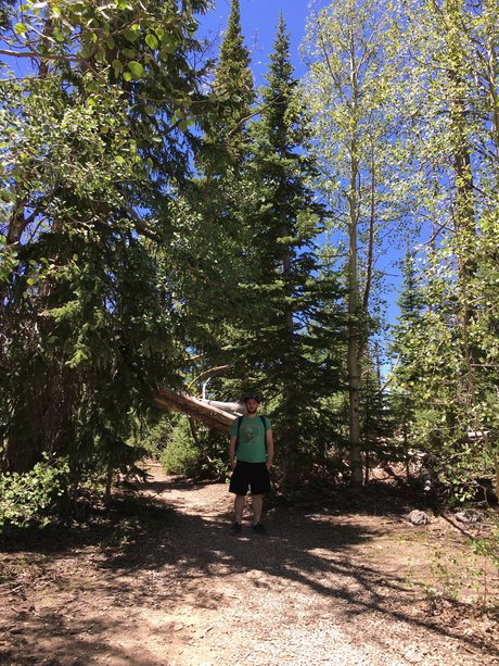 Jason Gamble ホットなモデル 画像