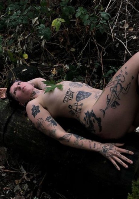 L na C モデル 画像