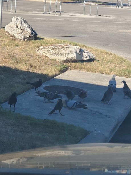 ぽっちゃりブロンドOnlyFans ポルノ 写真