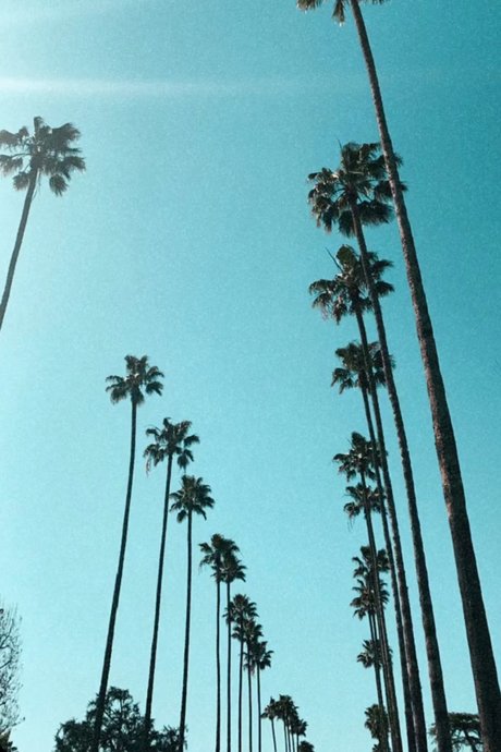 Tavion Smith 無料のポルノスター 写真