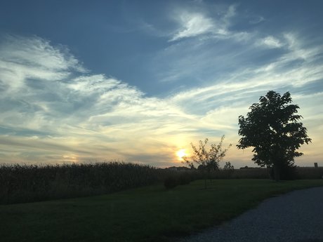 Brown Eyed Beauty_ ヌードモデル ギャラリー