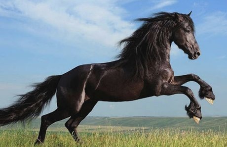 lillliiillllii 独占スター 写真