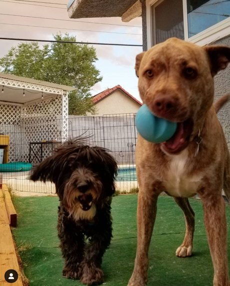 お金 OnlyFans セクシーxxx 画像