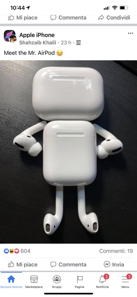 two Salty bears ホットスター アーカイブ