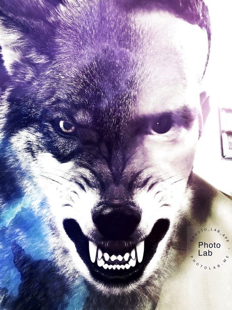 Zeus Ruiz ポルノスター 画像