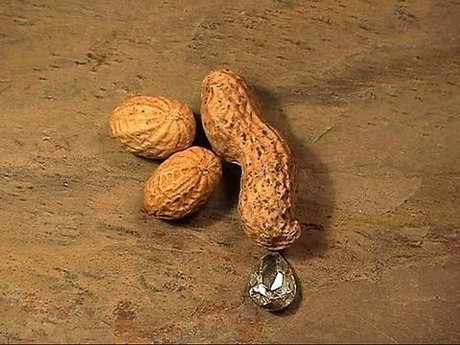 Ashtyn s Playground_ アダルトモデル 画像