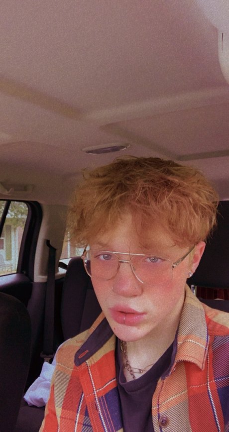 Harvey Flinn HDスター ギャラリー