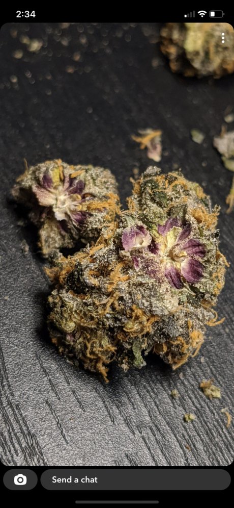 Flavor Chaserz ポルノスター セクシー 画像