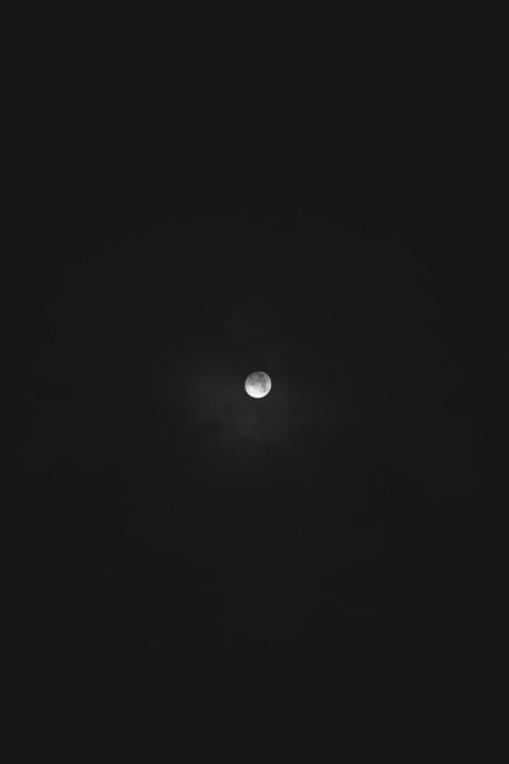 Felipe D Morquecho セックススター 写真