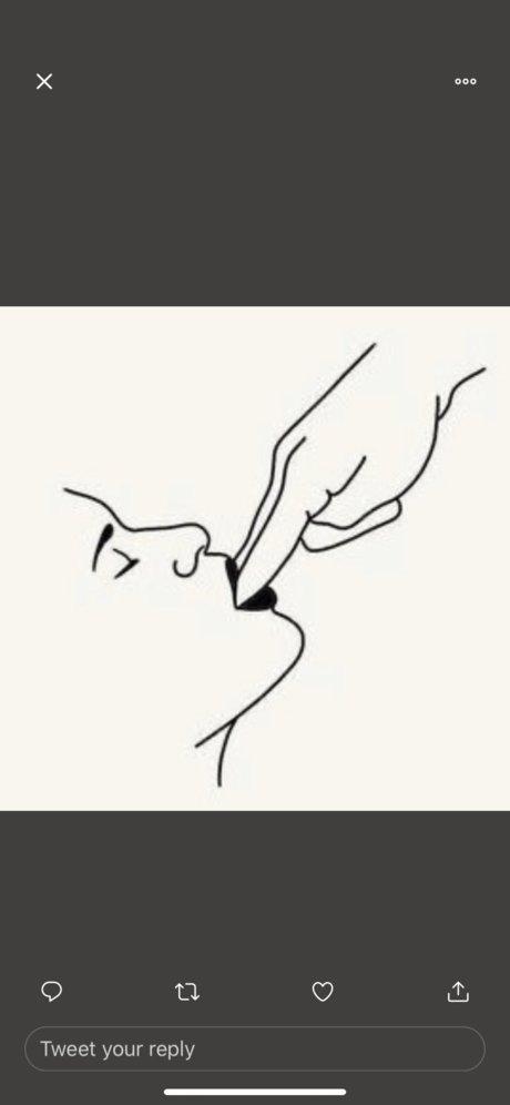 KODA 限定モデル 写真