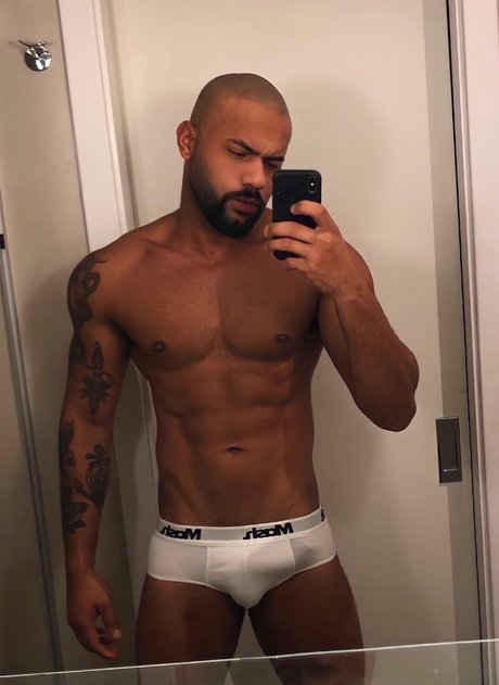 Malvad o 高品質女優 画像