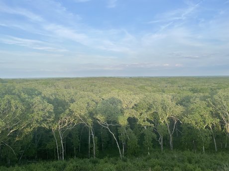 MisterG セックス女優 画像